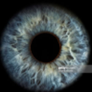 Meet your Posher, Walter